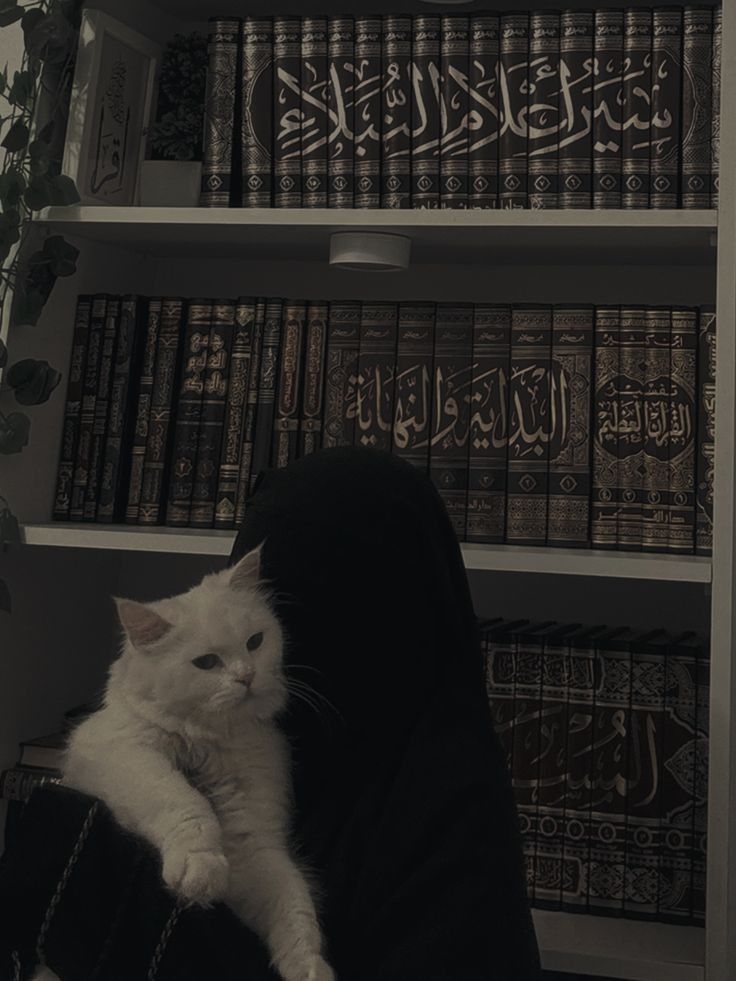 Profile Islamic Girls Dp